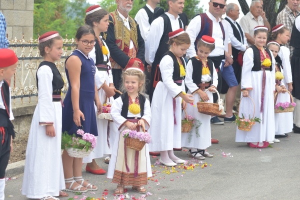 KOROSANTE U ČILIPIMA